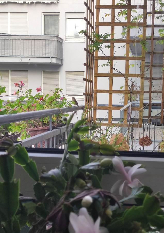 Große Für Gruppe Apartment
